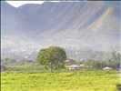 Flores Land
